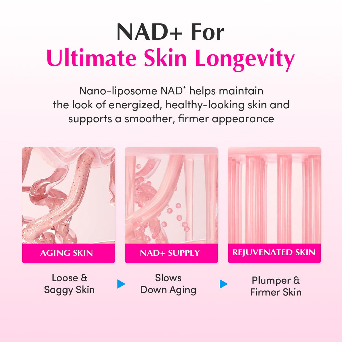 EQQUALBERRY NAD+ Peptide Cream with a soft towel and flowers
