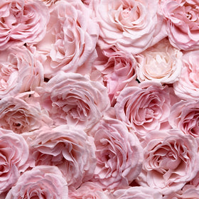 Escada Especially Women's Eau de Parfum with rose petals