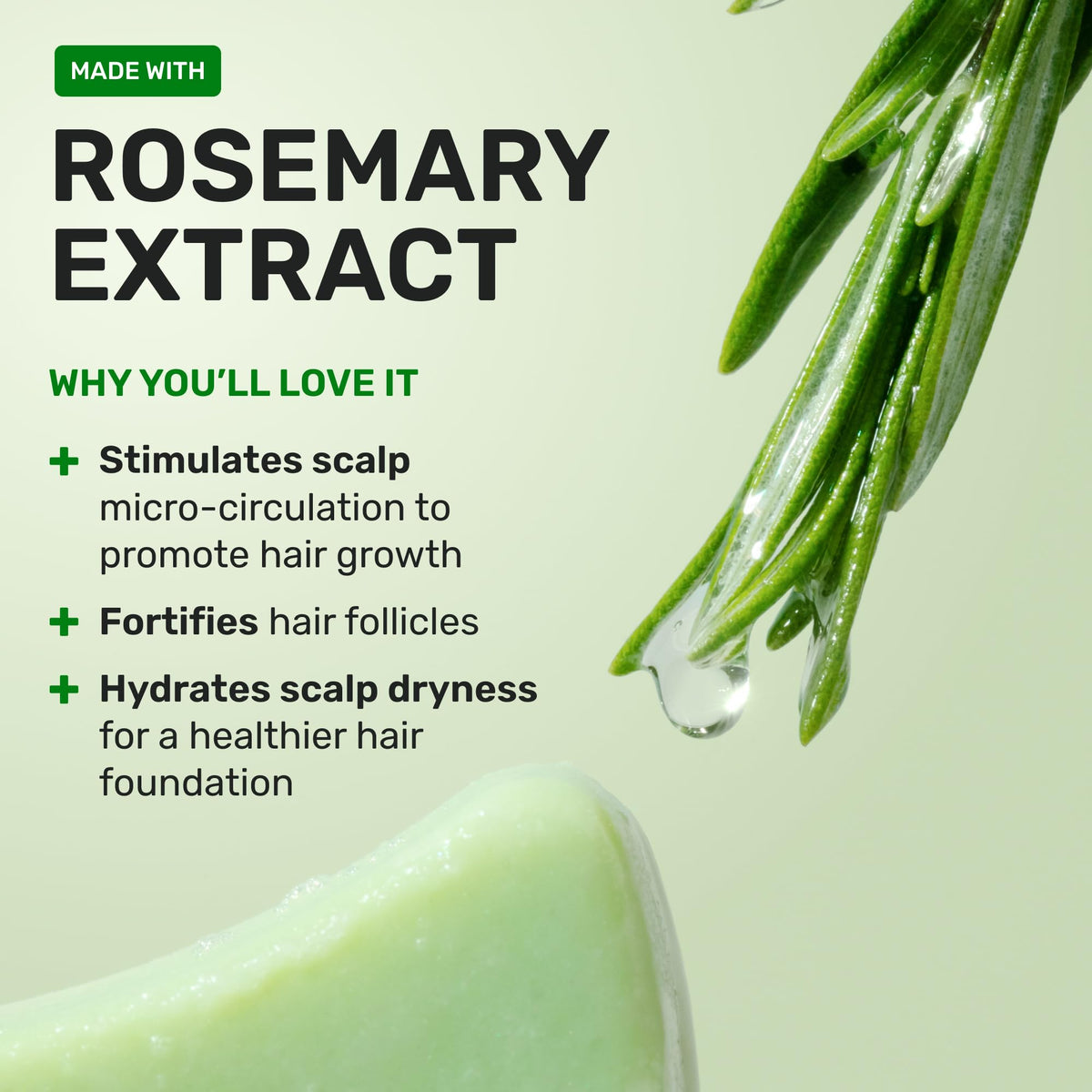 Ethique Shampoo Bar displayed with eco-friendly products