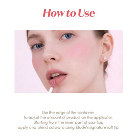 ETUDE Soft Fixing Lip Tint Apologize to Me with other makeup