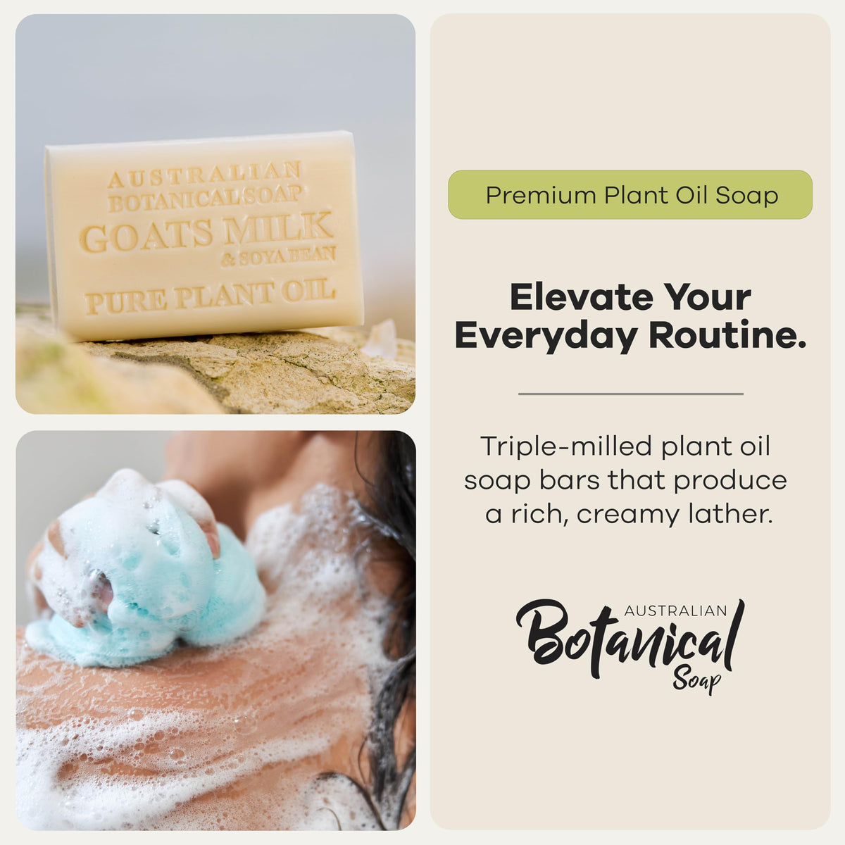 Eucalyptus with Lemon soap bar close-up