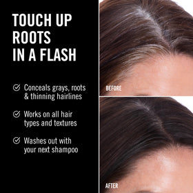EVERPRO Gray Away Instant Root Cover Up Spray Dark Brown back view