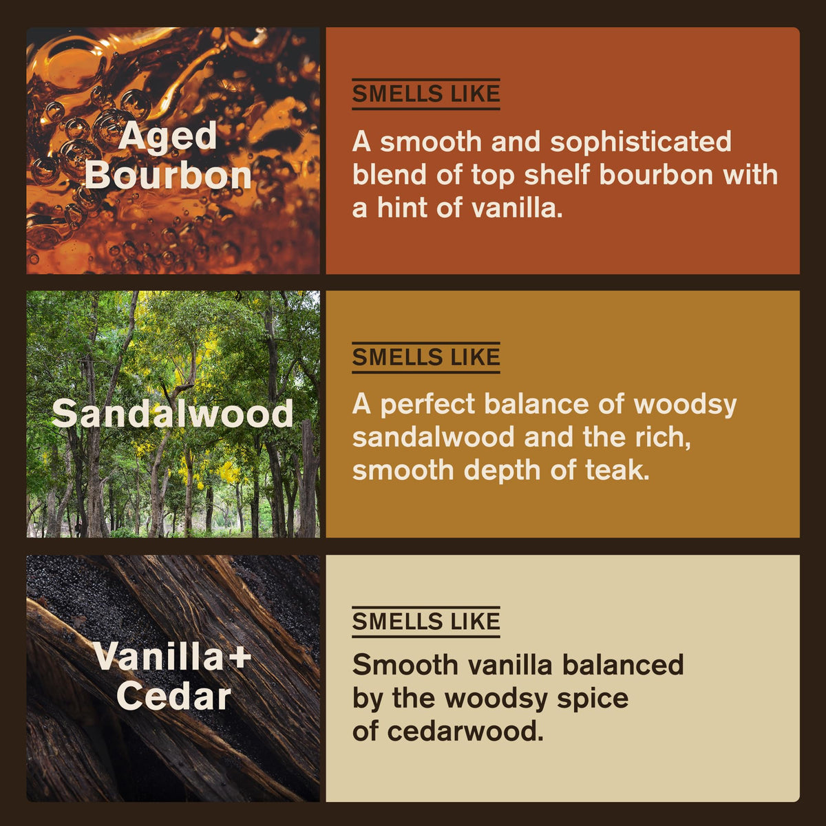 Every Man Jack Beard + Face Wash Sandalwood Teak variant close-up
