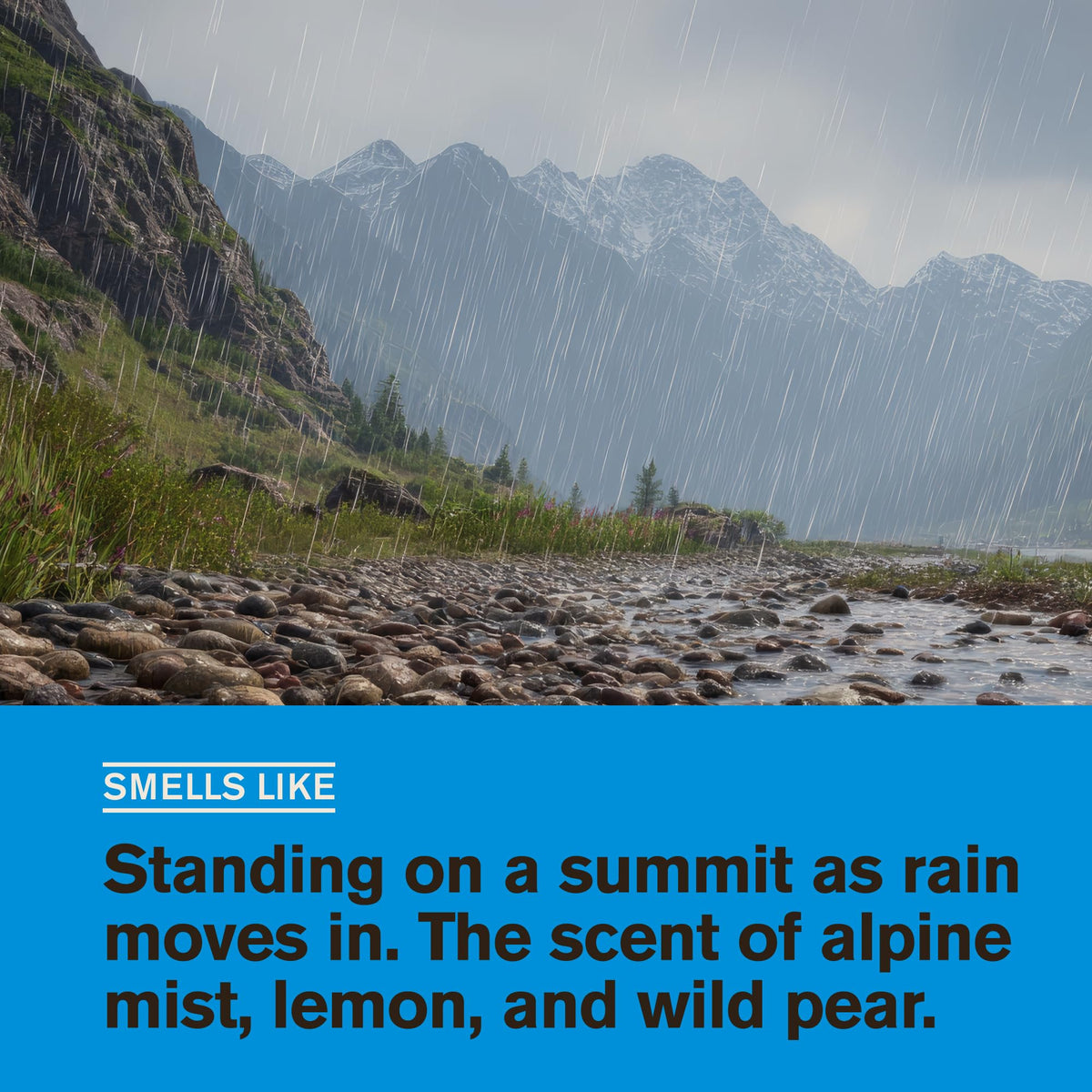 Every Man Jack Hydrating Body Wash Mountain Rain side view
