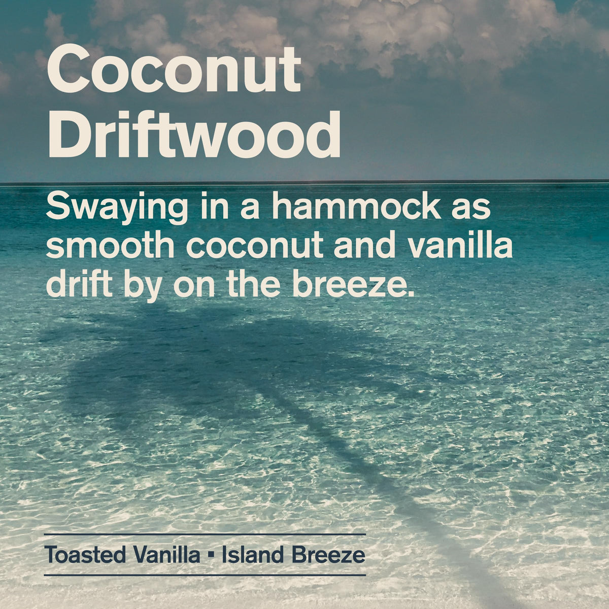 Every Man Jack Men's 2-in-1 Shampoo & Conditioner Coconut Driftwood lifestyle scene