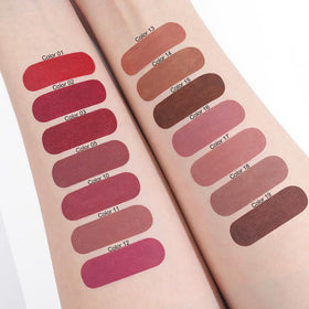 evpct Chestnut Maroon Matte Lipstick Crayon with other shades