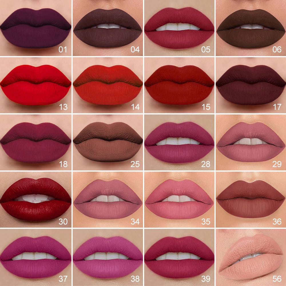 evpct Dark Deep Brown Lip Liner and Liquid Lipstick Set on makeup table