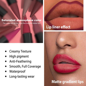 evpct Mauve Gradient Matte Lipstick swatch on skin