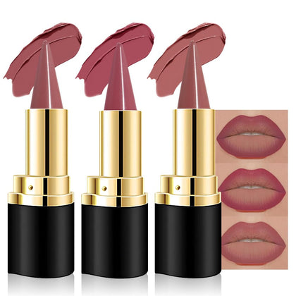evpct Mauve Red Dusty Rose Lipstick Set front view