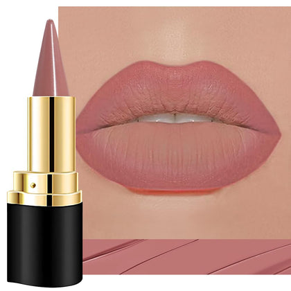 evpct Nude Pink Gradient Matte Lipstick front view