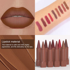 evpct Warm Brown Gradient Matte Lipstick variety of shades