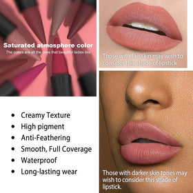 evpct Warm Pink Gradient Matte Lipstick side view with packaging