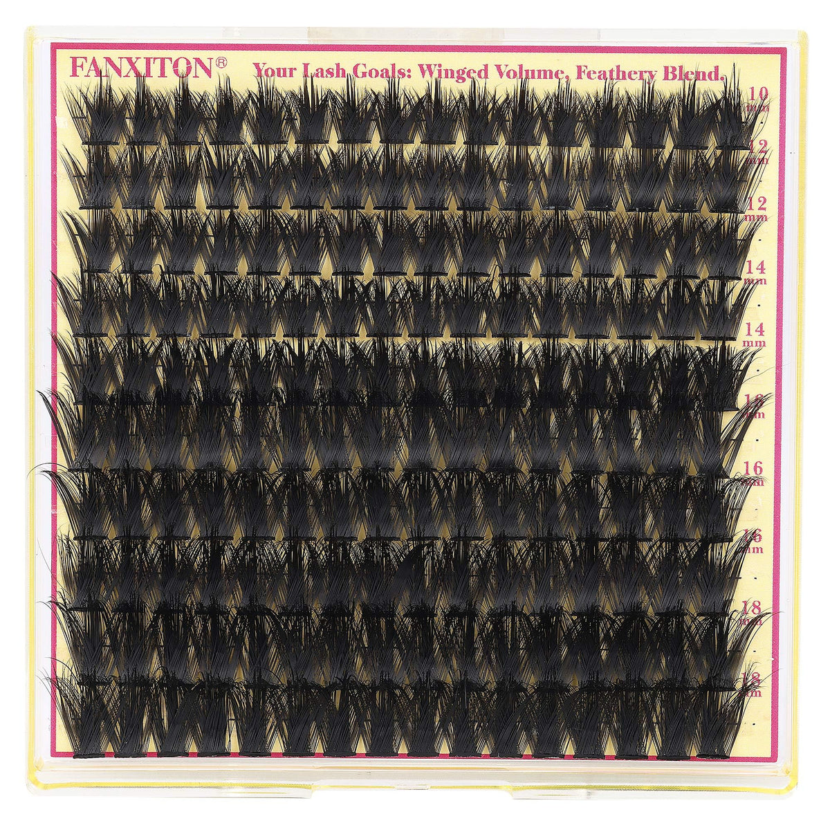 FANXITON Manga Volume Lash Clusters with makeup tools