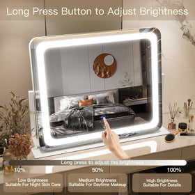 FENNIO Vanity Mirror 22x17 with cold light setting