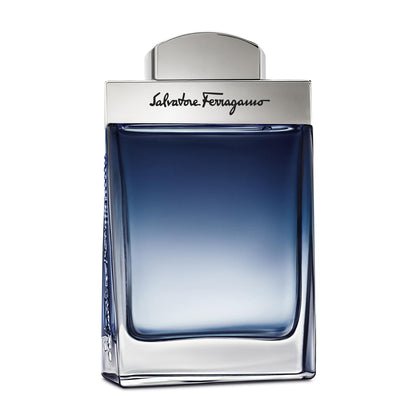 Ferragamo Subtil Eau De Toilette Spray 1.7 ounces front view