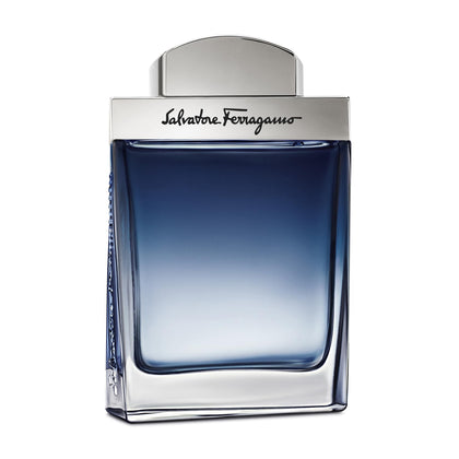 Ferragamo Subtil Eau De Toilette Spray 1 Ounce bottle front view