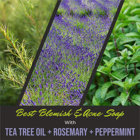 First Botany Rosemary Mint Body Wash with fresh mint leaves