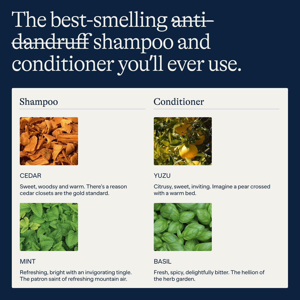 Flakes Anti Dandruff Shampoo and Conditioner set on a bathroom shelf