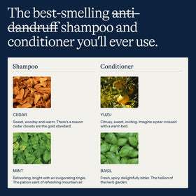 Flakes Anti Dandruff Shampoo and Conditioner set on a bathroom shelf