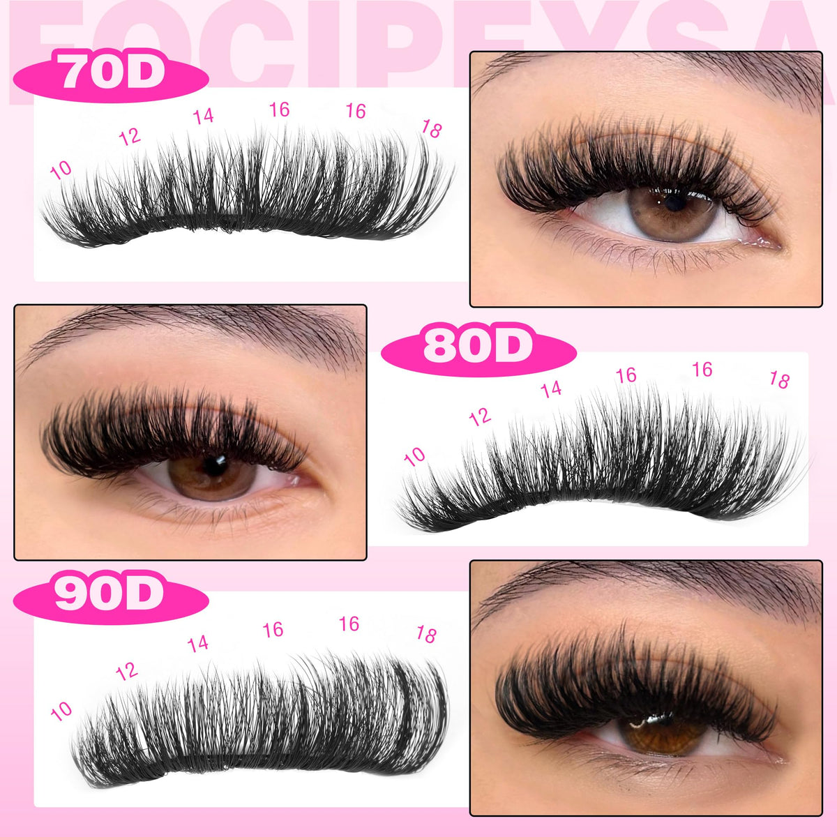 Focipeysa lash clusters arranged in a stylish display