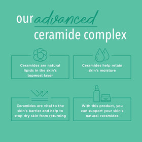 Fragrance Free Lotion ingredients list