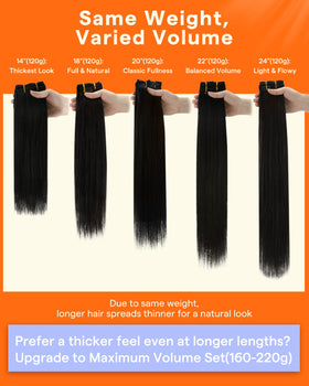 Full Shine Clip-In Hair Extensions 7-Piece Set #4/24/4 in natural light