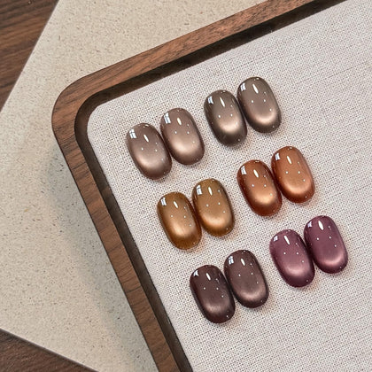 GAOY Brown Cat Eye Gel Nail Polish Kit front view with six colours