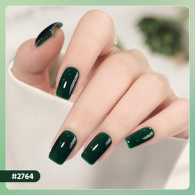 GAOY Gel Polish Kit packaging with glossy and matte top coats