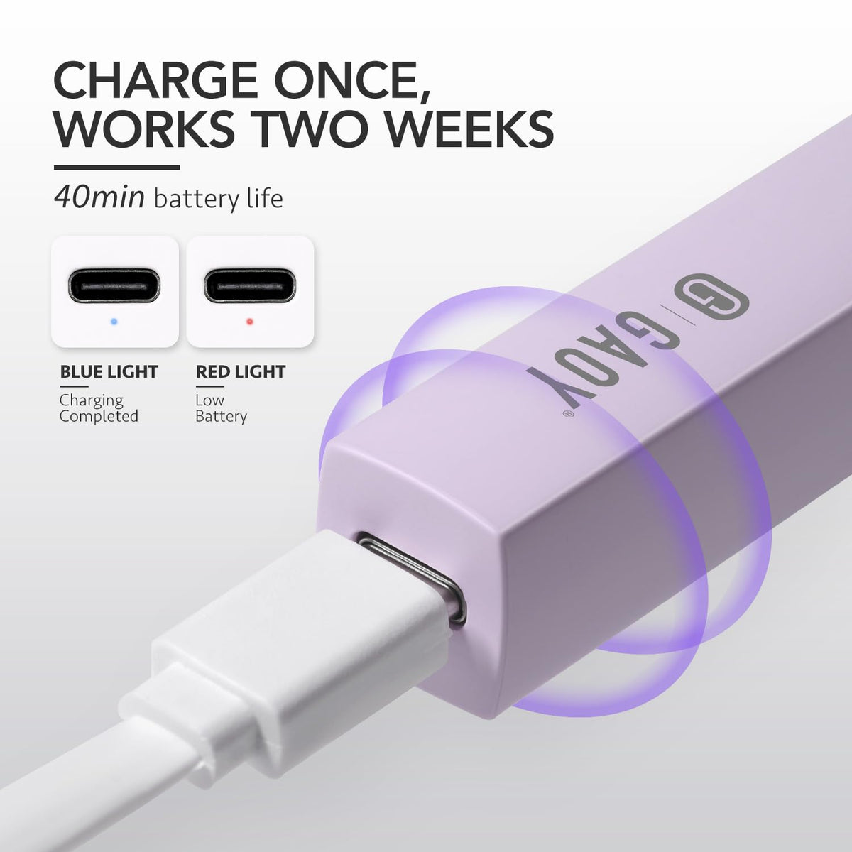 GAOY Handheld UV Light with charging cable and user manual