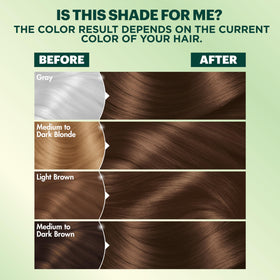 Garnier Nutrisse application instructions on the box