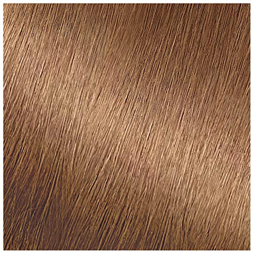 Garnier Nutrisse Hair Colour 72 Dark Beige Blonde application kit contents