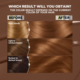 Garnier Nutrisse oil ampoule with fruit oils