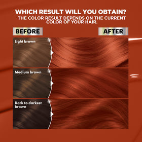 Garnier Nutrisse Ultra Color Hair Dye application instructions