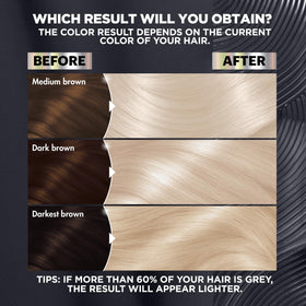 Garnier Nutrisse Ultra Color Hair Dye application process on dry hair