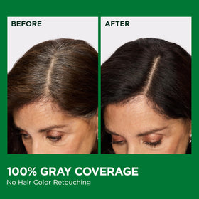 Garnier Nutrisse Ultra Crème Hair Colour 43 Dark Golden Brown after-colour conditioner