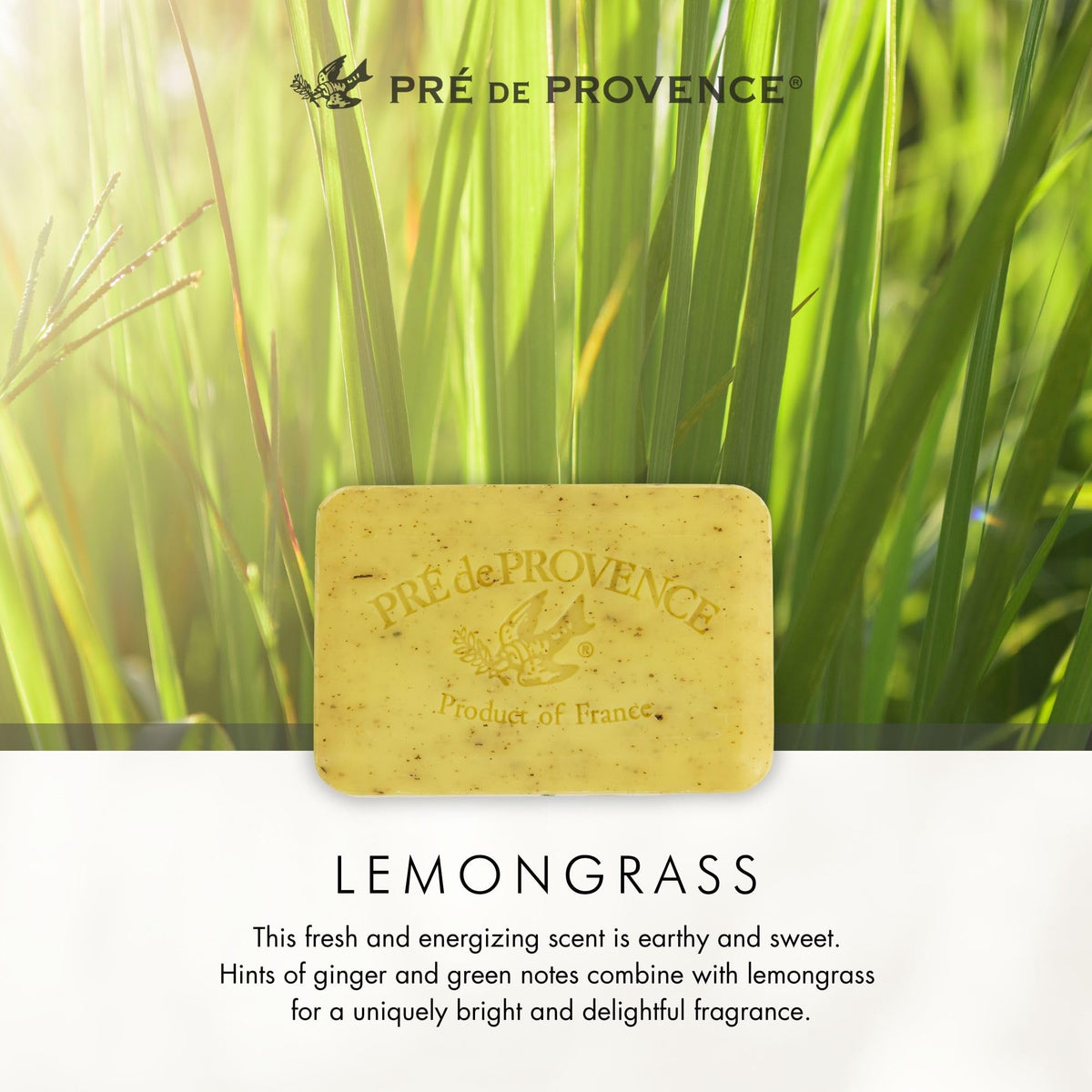 Gift basket featuring Pre de Provence Lemongrass Soap Bar