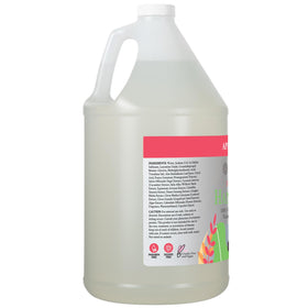 Ginger Lily Farms foaming hand soap back view with ingredients list