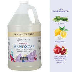 Ginger Lily Farms foaming hand soap with natural ingredients