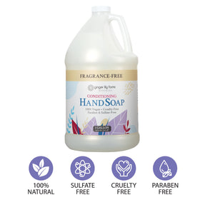 Ginger Lily Farms hand soap refill with pump dispenser