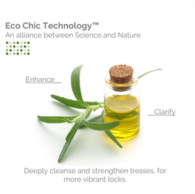 GIOVANNI Tea Tree Shampoo bottle side view