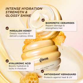 Gisou Honey Gloss Ceramide Therapy Hair Mask packaging details