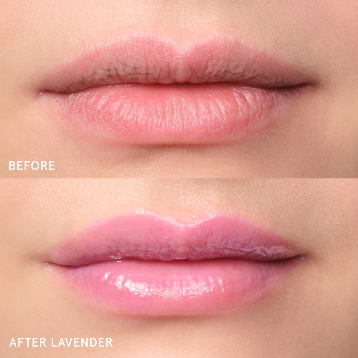 Glossier Balm Dotcom Lip Balm Lavender Lilac Tint with flowers