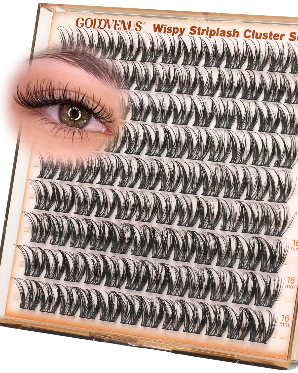 Goddvenus Spider Eye Lash Clusters front view with layered lengths
