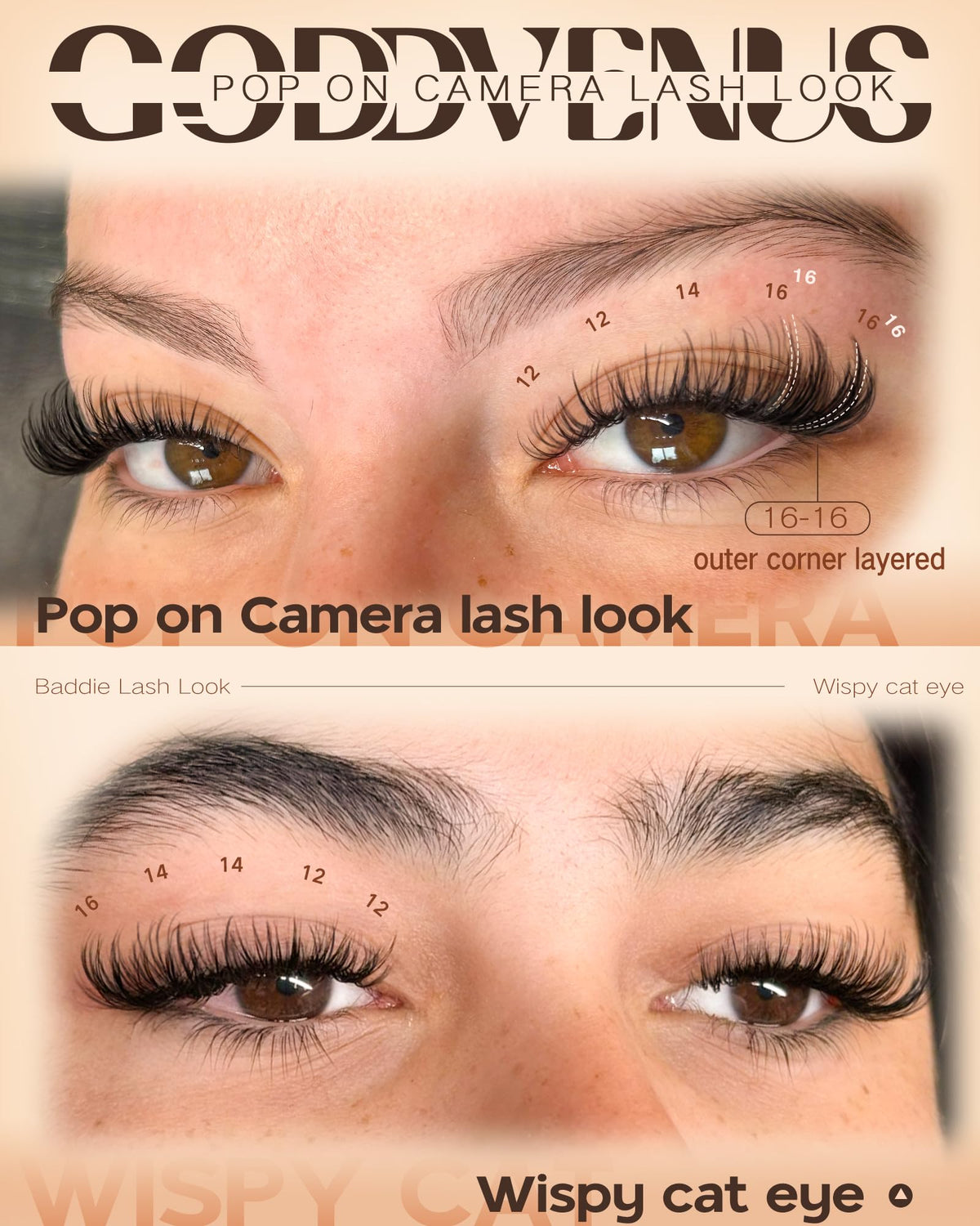 Goddvenus Spider Eye Lash Clusters packaging showing 10-16mm