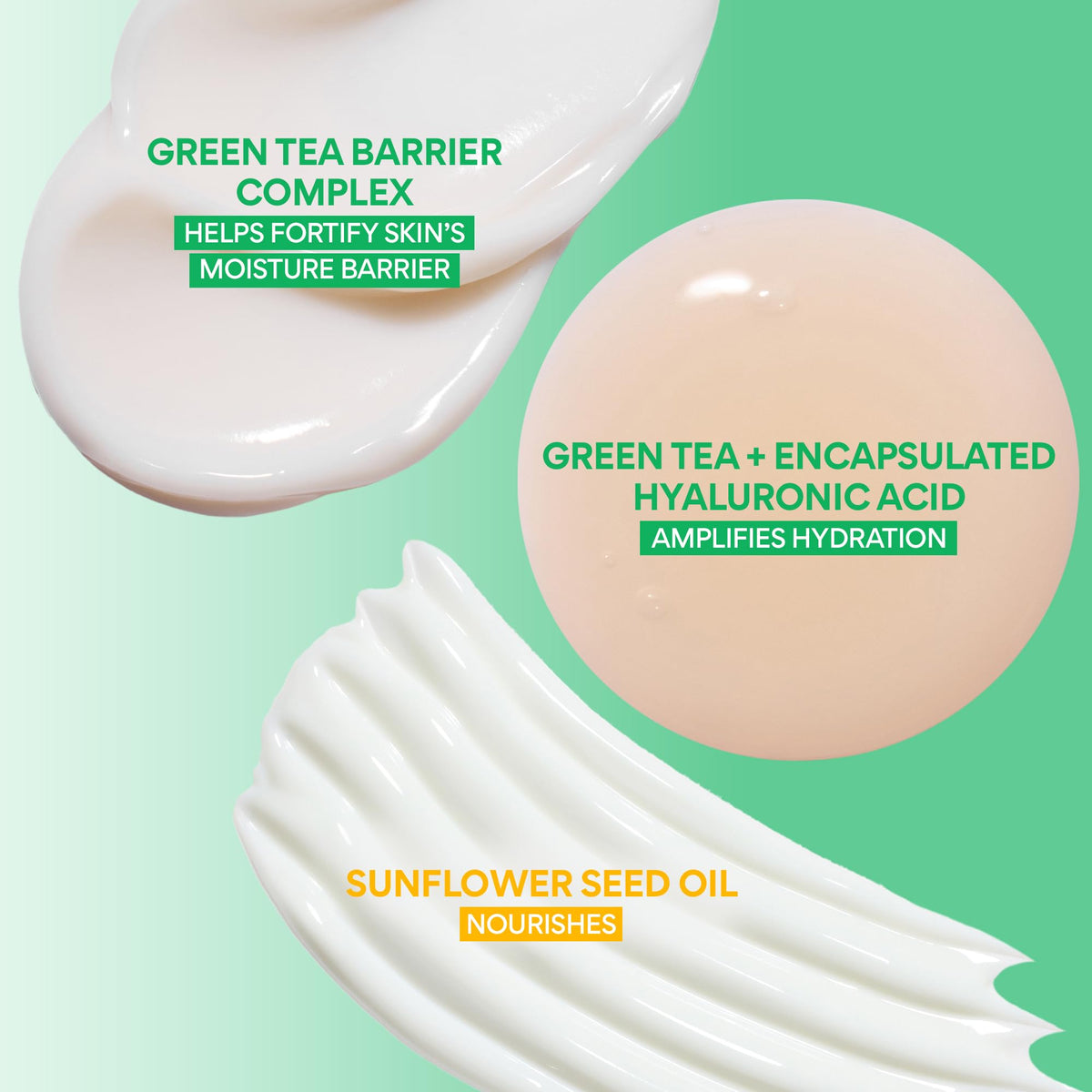 Green Tea Seed Hyaluronic Serum 30mL front view