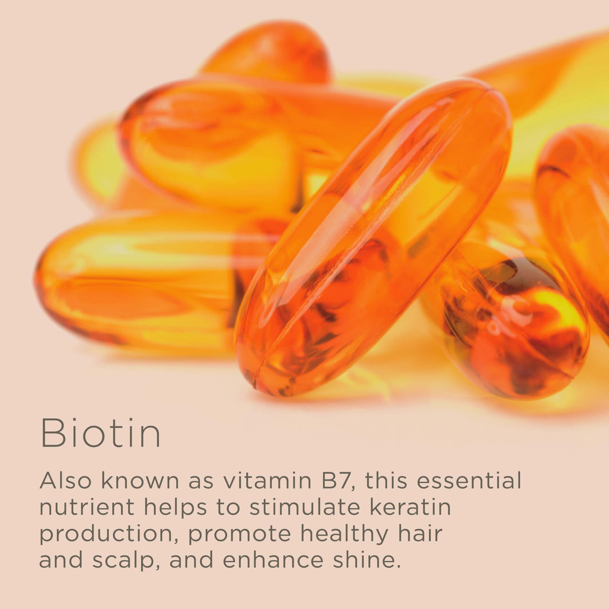 Hairitage Biotin Shampoo and Conditioner Set side view