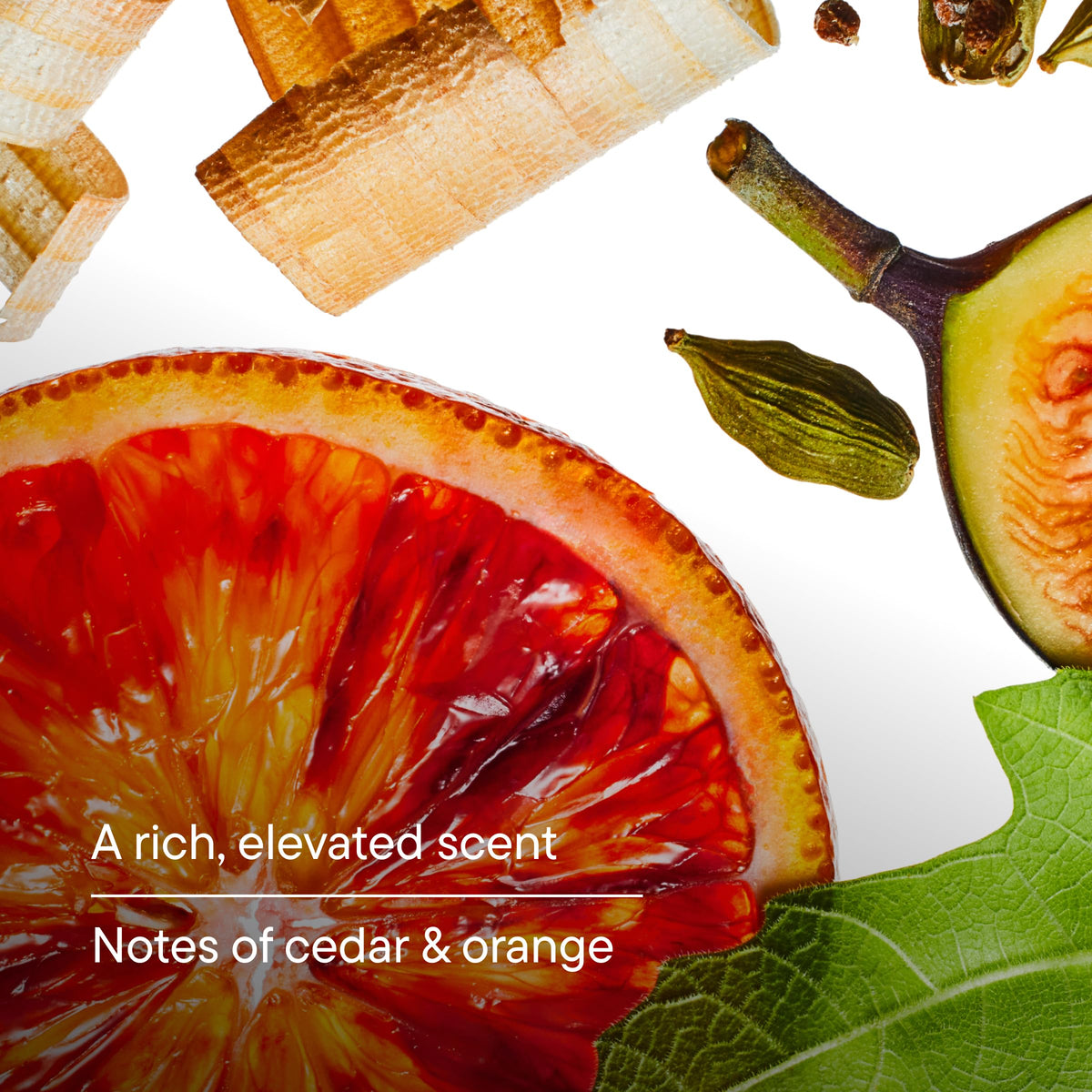 Harry's Men's Body Wash Fig ingredients close-up