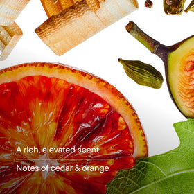 Harry's Men's Body Wash Fig ingredients close-up