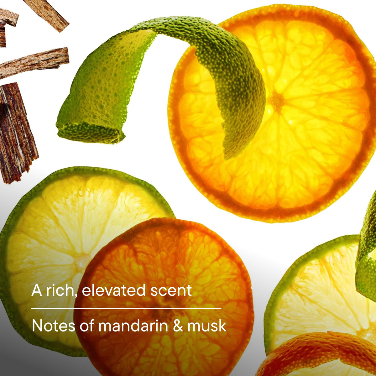 Harry's Men's Body Wash Solstice Scent with citrus fruits