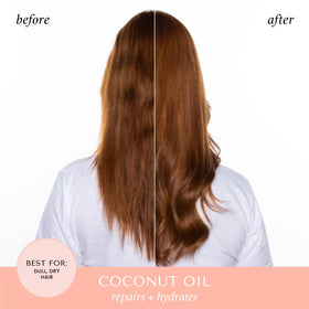 HASK Coconut Shampoo and Conditioner set packaging